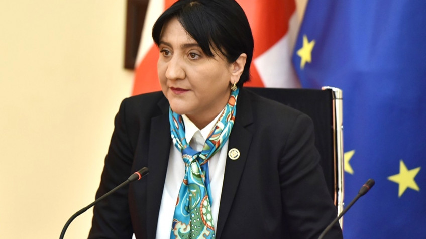 „ხელისუფლებამ ნიკა მელია თავად აქცია პოლიტპატიმრად, ასე ვეღარ გაგრძელდება,“ - ირმა ინაშავილი