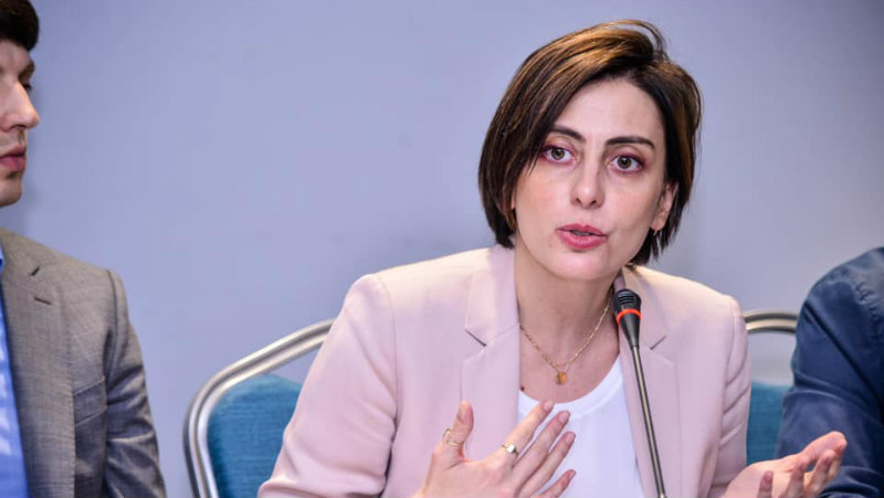ხატია დეკანოიძე პარლამენტში შესვლის მომხრეა