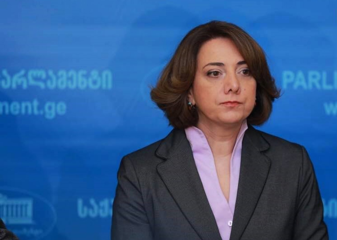 ინტელექტისგან დაცლილი პარტია - სალომე სამადაშვილი „ნაციონალურ მოძრაობაზე“