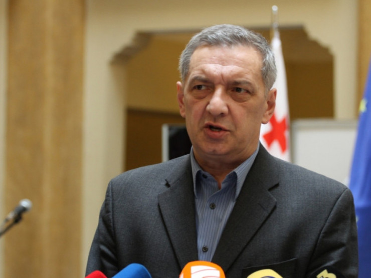 ვოლსკი: " თუკი მელია ამ შემადგენლობაში რჩება, ნიშნავს, რომ ისიც პოტენციური დამნაშავეა და განმახორციელებელი იმ დანაშაულების, რაც სააკაშვილის დროს ხდებოდა"