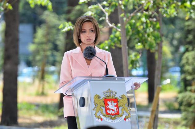 სავალდებულო ვაქცინაციას მოჰყვება ნეგატიური პროცესები, რაც ხელს შეუშლის ვაქცინაციის პროცესს - ეკატერინე ტიკარაძე