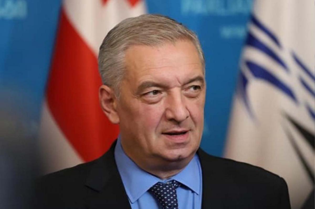 2024 წლის არჩევნებისთვის საზოგადოებას ჩამოყალიბებული აზრი უნდა ჰქონდეს კონსტრუქციულ ოპოზიციაზე -ვოლსკი