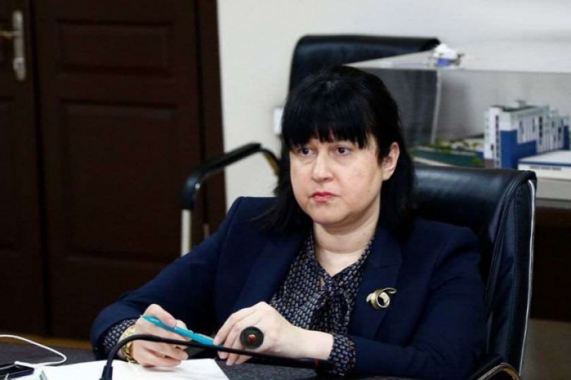 ირბადის გამოყენება განსაკუთრებით ამ პირობებში იქნება კრიტიკულად მნიშვნელოვანი-თამარ გაბუნია