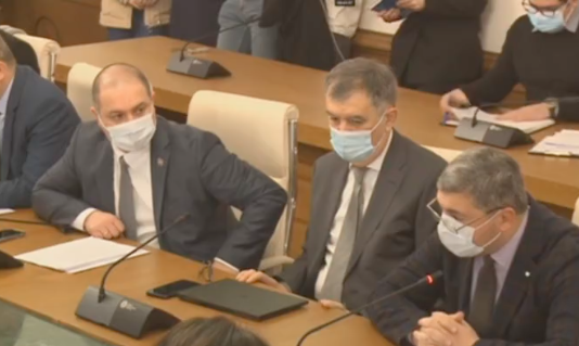 და ნუ უზრდელობთ, ნუ მეჩრებით პირში-დაპირისპირება პარლამენტის საგარეო საქმეთა კომიტეტის სხდომაზე