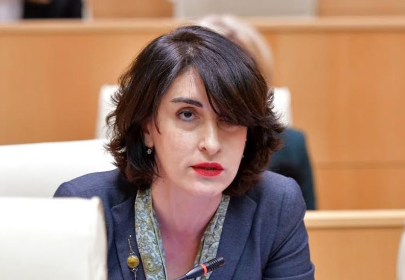 ხერგავთ სწორედ იმ გზას, რომელიც მიდის ევროკავშირის წევრობამდე-მაკა ბოჭორიშვილი ოპოზიციას