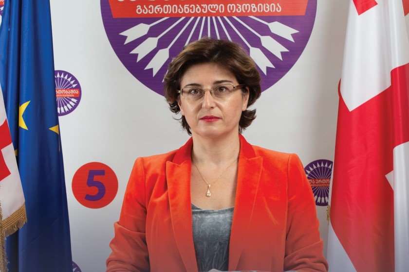 ოცნება“ დაუბრუნდა შეთანხმებას, რომ დელეგაცია უნდა იყოს ფართო წარმომადგენლობის-ხათუნა სამნიძე