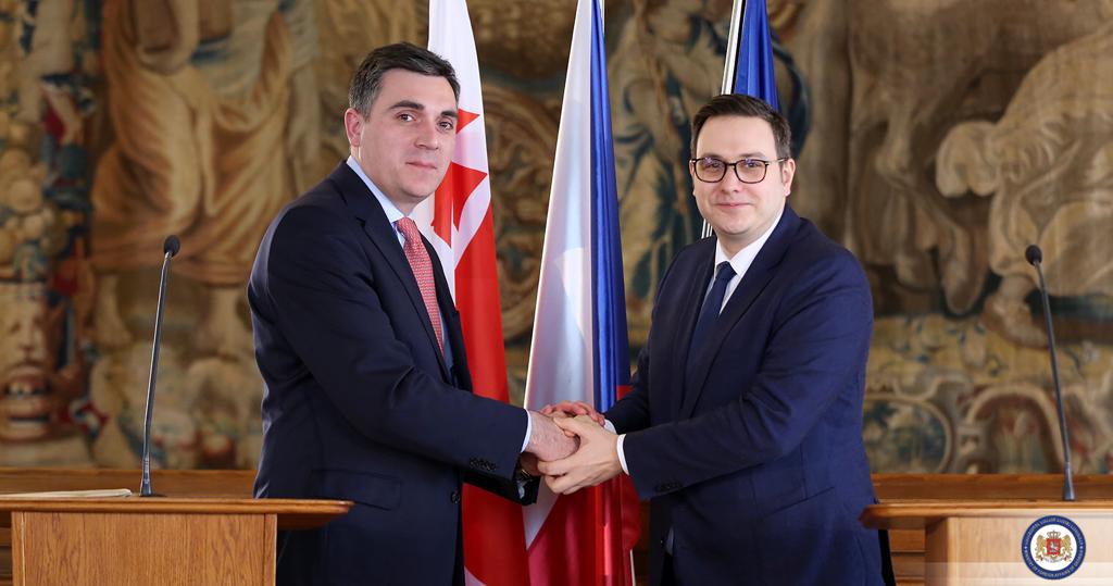 ჩეხეთის საგარეო საქმეთა მინისტრი - საქართველო ევროპის ნაწილია და ჩვენ მხარს ვუჭერთ საქართველოს ევროკავშირში
