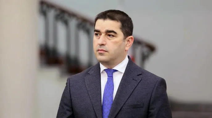 პაპუაშვილი - რა ფორმატია ის, სადაც პარტიები, ჟურნალისტები და არასამთავრობოები ხელისუფლების შეცვლის მეთოდებზე მსჯელობენ