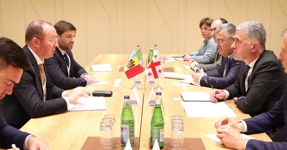 საქართველო და მოლდოვა ევროკავშირის კანდიდატის სტატუსის მიღებისთვის მუშაობენ-