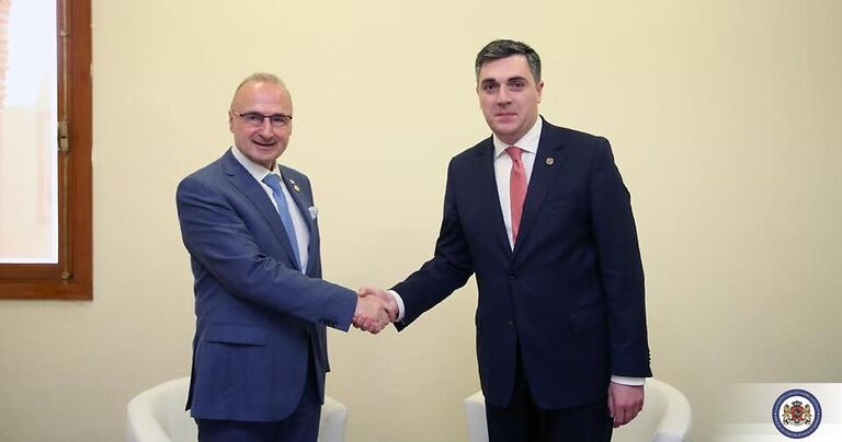 ილია დარჩიაშვილი ხორვატიის საგარეო საქმეთა მინისტრს შეხვდა