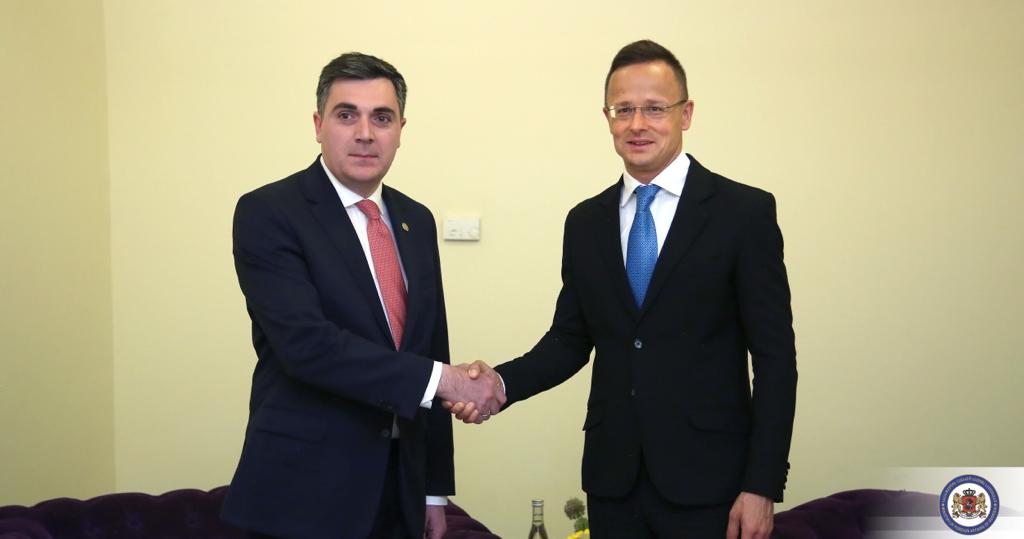 ილია დარჩიაშვილისა და პიტერ სიიარტოს შეხვედრაზე მაღალი შეფასება მიეცა საქართველოს მიერ კითხვარის მოკლე ვადებში შევსებას - საგარეო უწყება