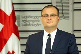 არც პრეცედენტი არსებობს და არც კანონმდებლობა იძლევა მსჯავრდებული პატიმრის საზღვარგარეთ გაყვანის შესაძლებლობა-რატი ბრეგაძე