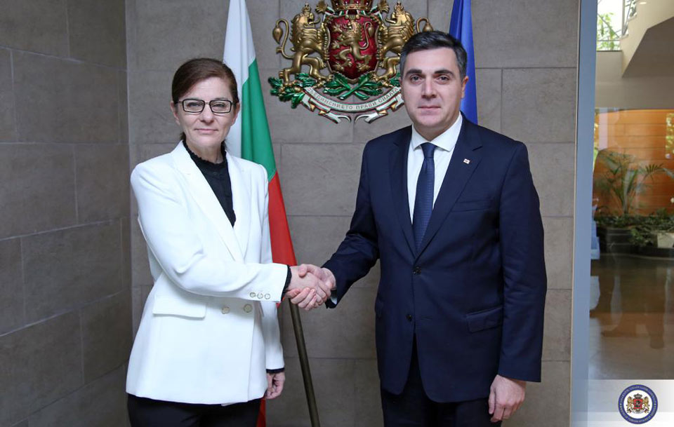 ილია დარჩიაშვილი ბულგარეთის საგარეო უწყების ხელმძღვანელს შეხვდა