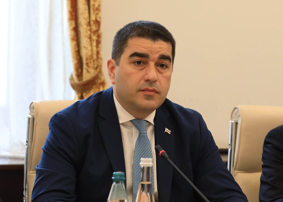 ღირსების შემლახავი ტერმინების გამოყენება არ უნდა იყოს, ეს არის პარლამენტის წესი-შალვა პაპუაშვილი
