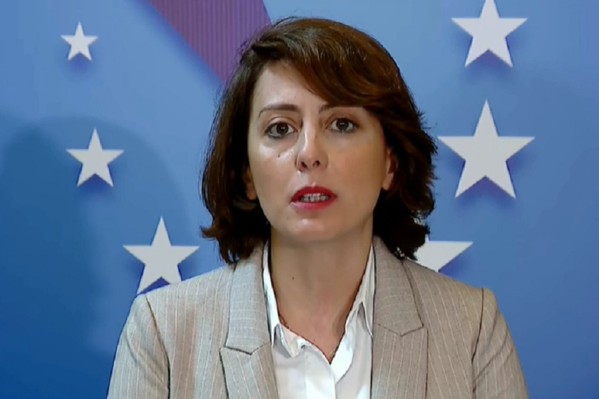 ალბათ კოშმარულ სიზმარში ვერ წარმოვიდგენდით, რომ საელჩოსთან ინციდენტზე საუბარი გვექნებოდა-ხატია დეკანოიძე