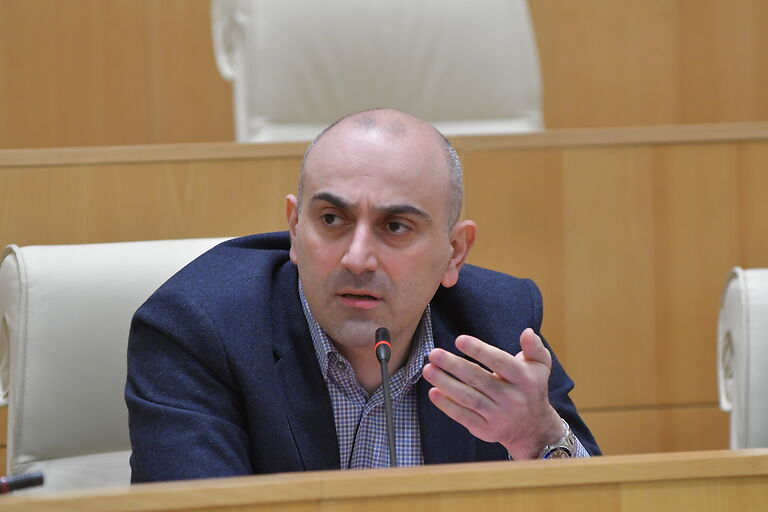 ოლიგარქის დეფინიციას თუ გადავხედავთ, ივანიშვილი შევა, მაგრამ შევლენ სხვა ბიზნესმენებიც-სანდრო რაქვიაშვილი