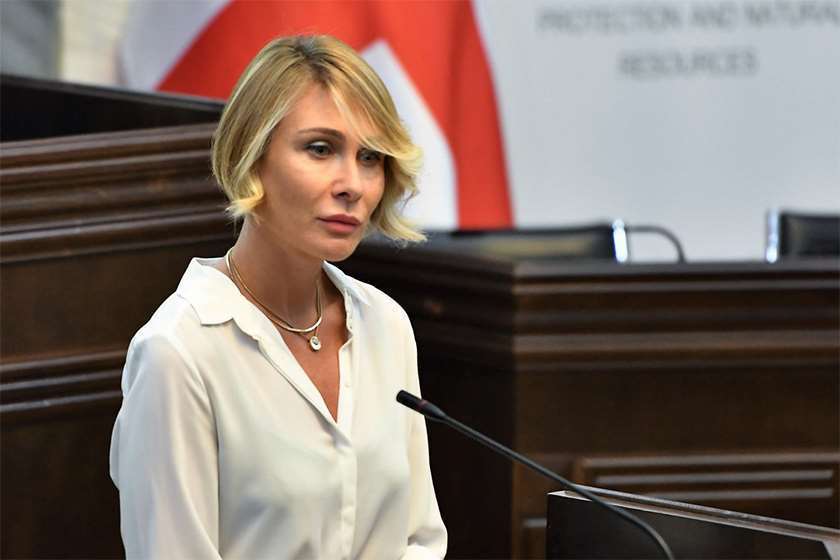 როგორ შეიძლება გადაფარო ის ქველმოქმედება, რაც ბიძინა ივანიშვილს საქართველოს მასშტაბით აქვს გაკეთებული-ნინო წილოსანი