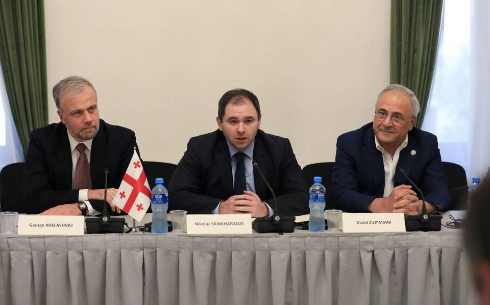 ნიკოლოზ სამხარაძე და საგარეო ურთიერთობათა კომიტეტის წევრები ევროპარლამენტის საგარეო საქმეთა კომიტეტის დელეგაციას შეხვდნენ