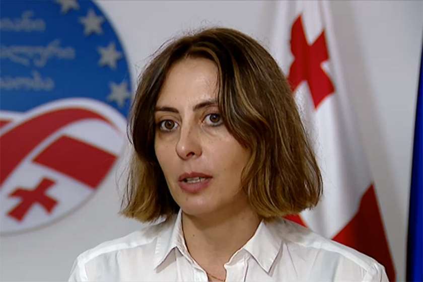 ხატია დეკანოიძე:იუსტიციის მინისტრმა სისხლის სამართლის დანაშაული ჩაიდინა