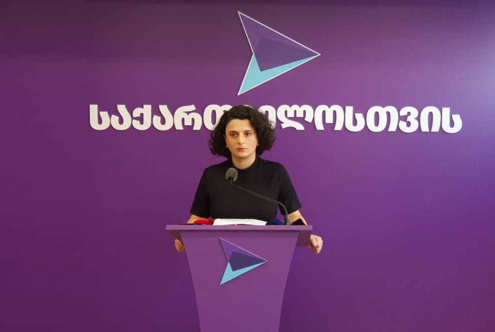 ნათია მეზვრიშვილი - არანაირი საფუძველი არ გვაქვს, რომ სტრასბურგის სასამართლოს გადაწყვეტილებაში ეჭვი შევიტანოთ