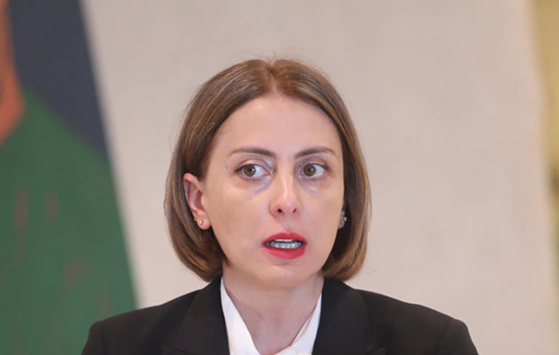ხატია დეკანოიძე - „ნაციონალური მოძრაობის“ სახელით მოსაუბრე ფიქციას შეუძლია დატოვოს პარლამენტი, წინააღმდეგობა არ იქნება
