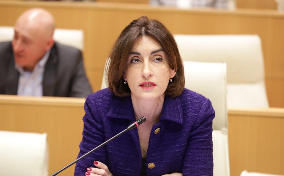 მაკა ბოჭორიშვილი - პარლამენტის წინ ევროკავშირის დროშა ნამდვილად არის, არ ვიცი, რატომ გაღიზიანდნენ ასე საქართველოს სიმბოლიკით, ყოველ წელს ბანერები თემატიკის მიხედვით იდგმება