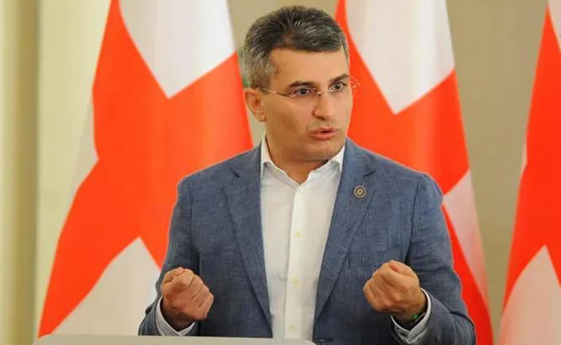 გამიჯნეთ ჯანსაღი ახალგაზრდობა და ერთი-ორი პროვოკატორი ერთმანეთისგან - მდინარაძე