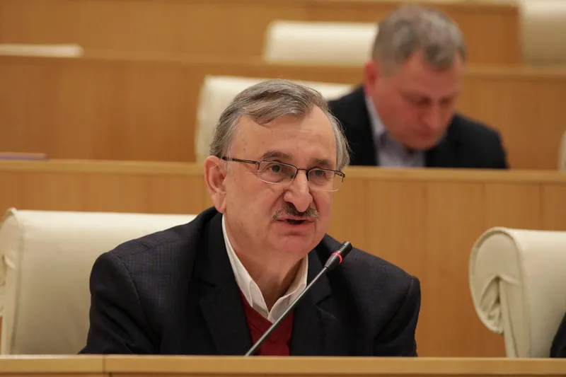 ივანიშვილი ისე გისმენთ, როგორც მე მისმენს ახლა ჩემი კატა ტელეეკრანის წინ - რომან გოცირიძე უმრავლესობას