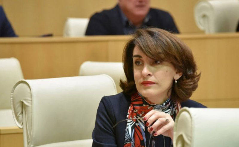 ზურაბიშვილმა პრეზიდენტის ინსტიტუტი პოლარიზაციის დამატებით წყაროდ აქცია - ბოჭორიშვილი