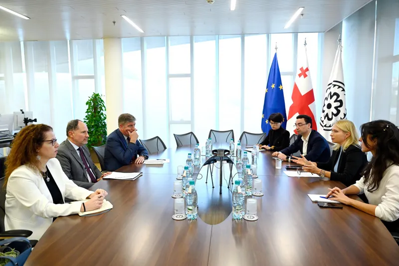ნათია თურნავა ევროკავშირის ელჩთან შეხვედრის შესახებ - საქართველოს საფინანსო სისტემა და ეროვნული ბანკი საერთაშორისო სანქციების შესრულების ერთგული რჩება