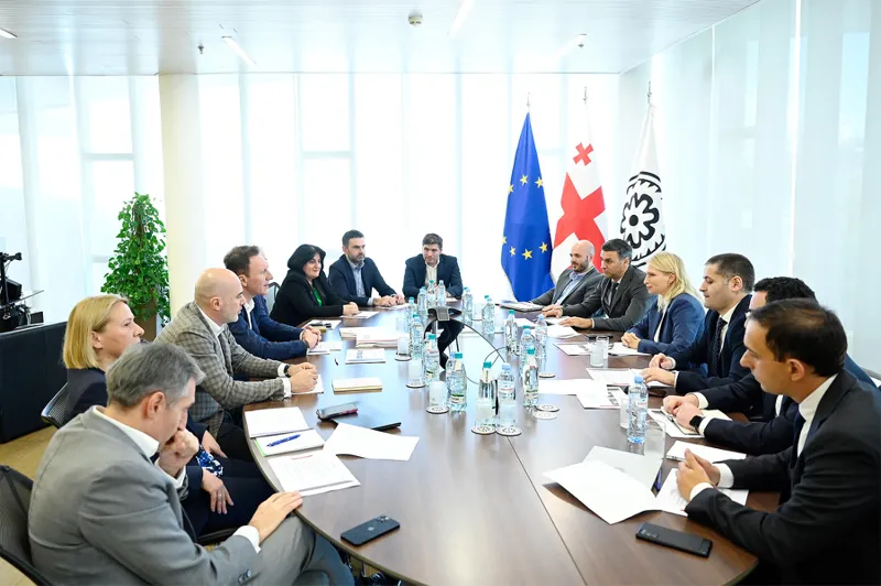 ნათია თურნავა კომერციული ბანკებისა და ბიზნეს ასოციაციის წარმომადგენლებს შეხვდა