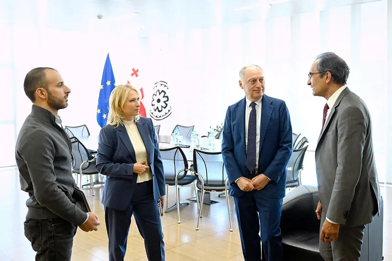 ნათია თურნავა IMD-ის წარმომადგენელს შეხვდა
