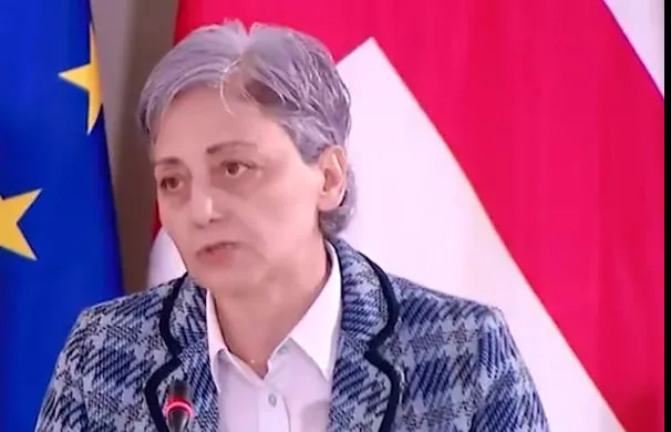 მაია კოპალეიშვილი - დასკვნა არის ტენდენციური, საკონსტიტუციო სასამართლო მთლიანად შევიდა პოლიტიკურ პროცესში