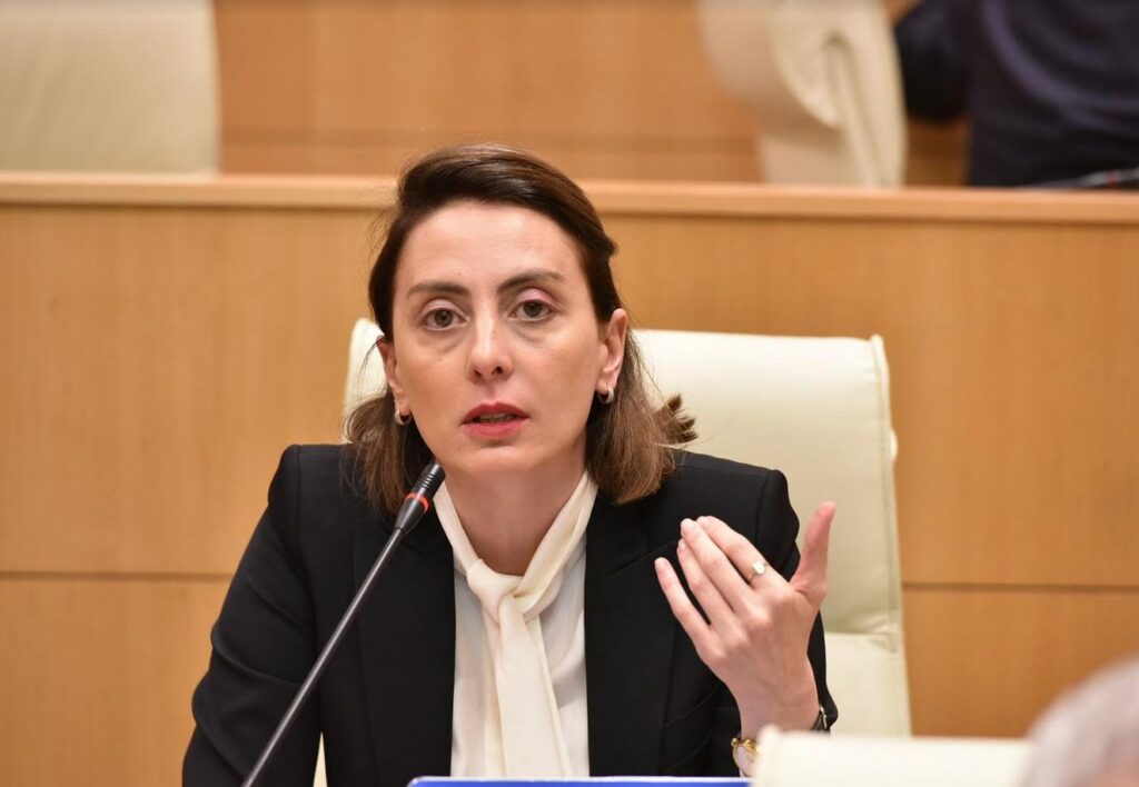 ხატია დეკანოიძე „ქართულ ოცნებას“ - თქვენ ხართ ადამიანები, რომლებსაც არავითარი პრინციპი კი არა, თავმოყვარეობაც არ გაგაჩნიათ