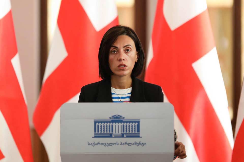 ანა წითლიძე - მნიშვნელოვანია, ოპოზიციიდან არცერთი ხმა არ ჰქონდეს იმპიჩმენტს