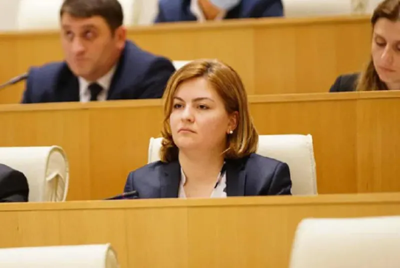 ანა ნაცვლიშვილი - ხელისუფლება მანიპულირებს და ცდილობს ევროკავშირის დირექტივის საფარქვეშ რეპრესიული მექანიზმი შემოაპაროს - მსგავსი ტიპის კანონი რუსეთში მუშაობს