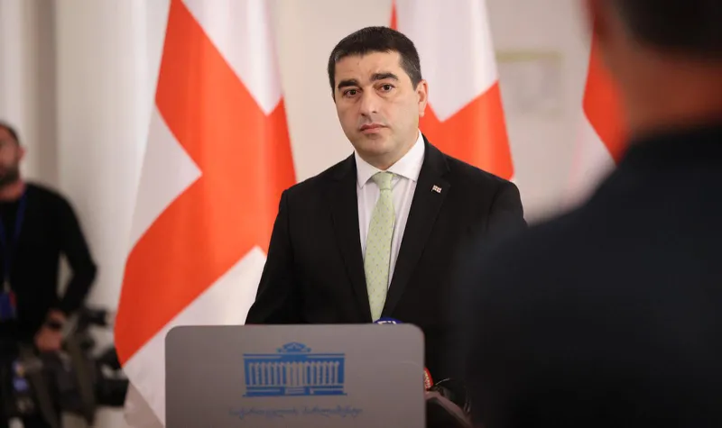შალვა პაპუაშვილი „მაუწყებლის შესახებ“ კანონში ცვლილებებზე - არ მგონია, გონივრული იყოს ევროკავშირზე ვეტოს დადება