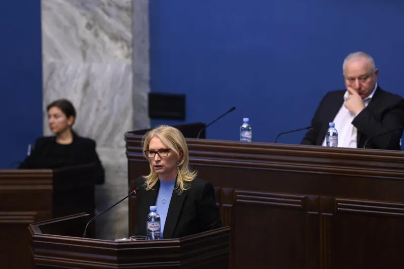 ნათია თურნავა - ბოლო ერთ წელიწადში ლარის კურსი ისტორიულად გამყარდა