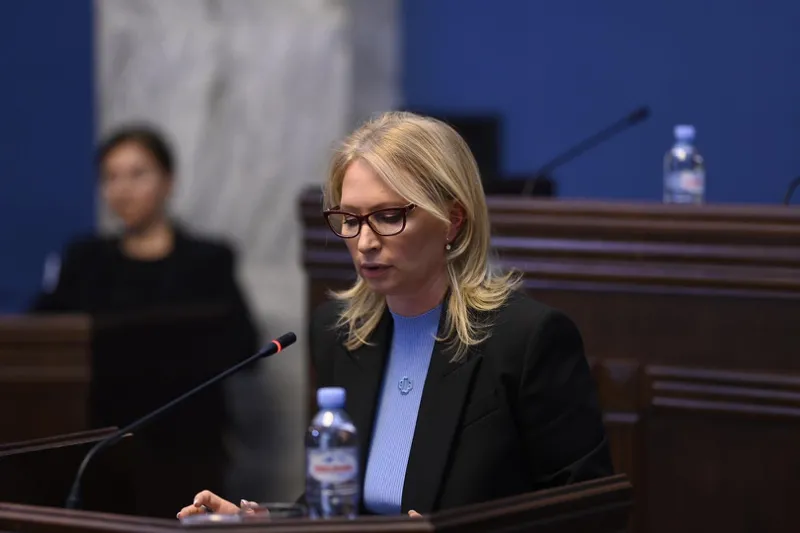 ნათია თურნავა ფარცხალაძეზე - მინდა დაგარწმუნოთ, არანაირი სანქციების გვერდის არიდება და დარღვევის ფაქტი არ მომხდარა, ამის დასტური არ არსებობს