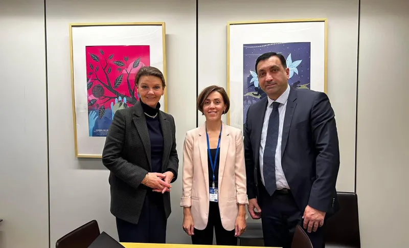 ლევან ბეჟაშვილი და ანა წითლიძე ნორვეგიის პარლამენტის წევრს და PACE - ნორვეგიის დელეგაციის ხელმძღვანელს ინგრიდ შოუს შეხვდნენ